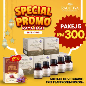 PAKEJ PROMO RAYA HAJI